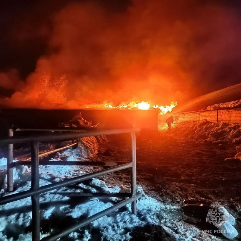 �������� ������ 180 ����� � �������� ������