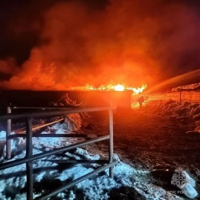 �������� ������ 180 ����� � �������� ������