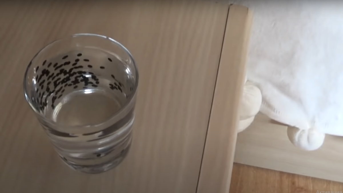 Как начать утро с энергией: простые советы для бодрости и настроения