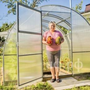 ��� ������� ������� ��� ��������� �������: ������, ������ � ����