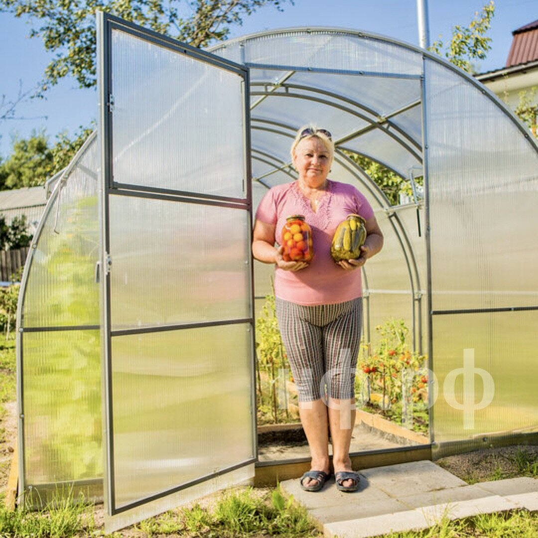 Как выбрать теплицу для различных культур: овощей, цветов и ягод