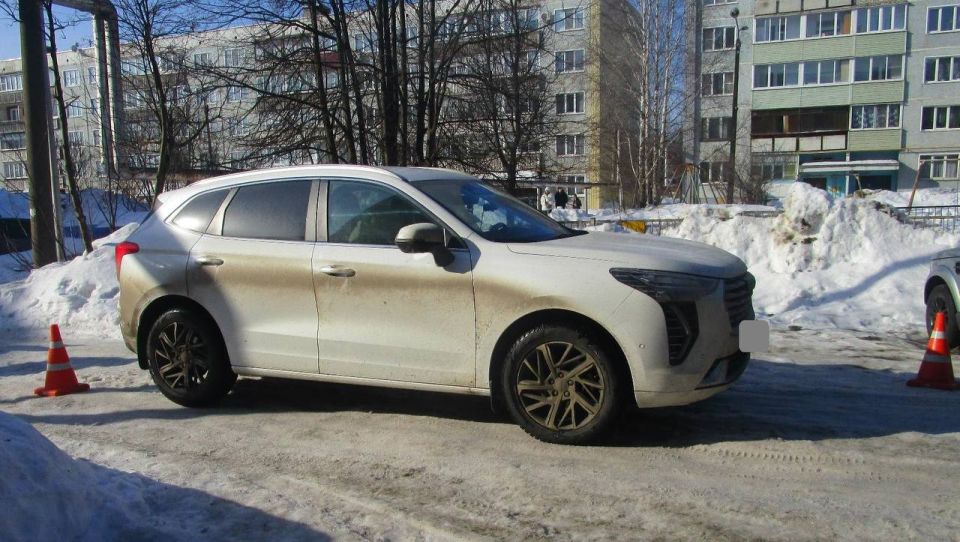 Информация носит предварительный характер