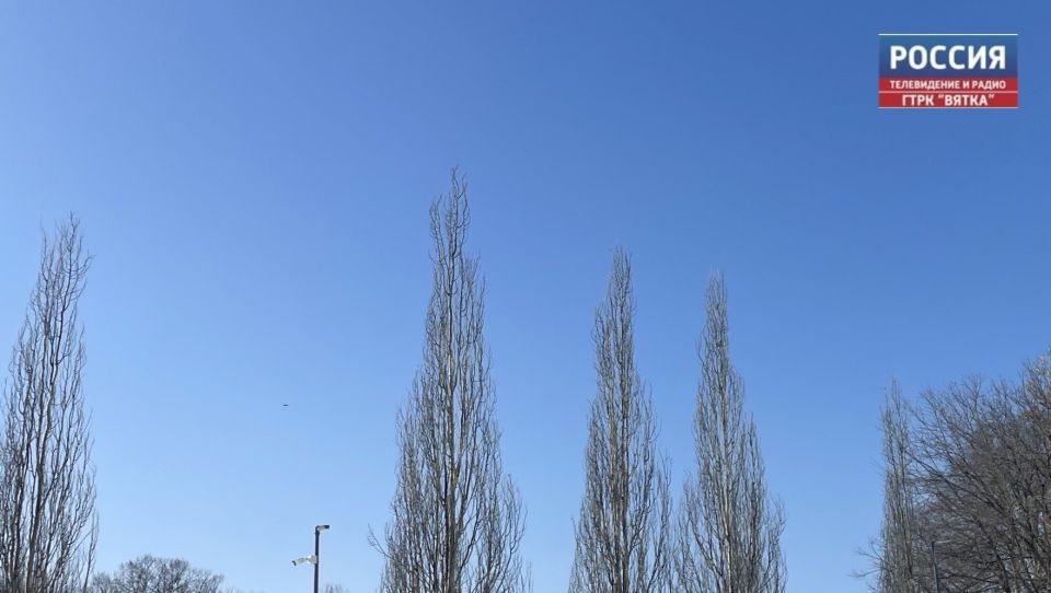 Во вторник, 17 марта, в Кировской области прогнозируют переменную облачность без существенных осадков, ночью на дорогах гололед, рассказали в региональном центре по гидрометеорологии и мониторингу окружающей среды региона