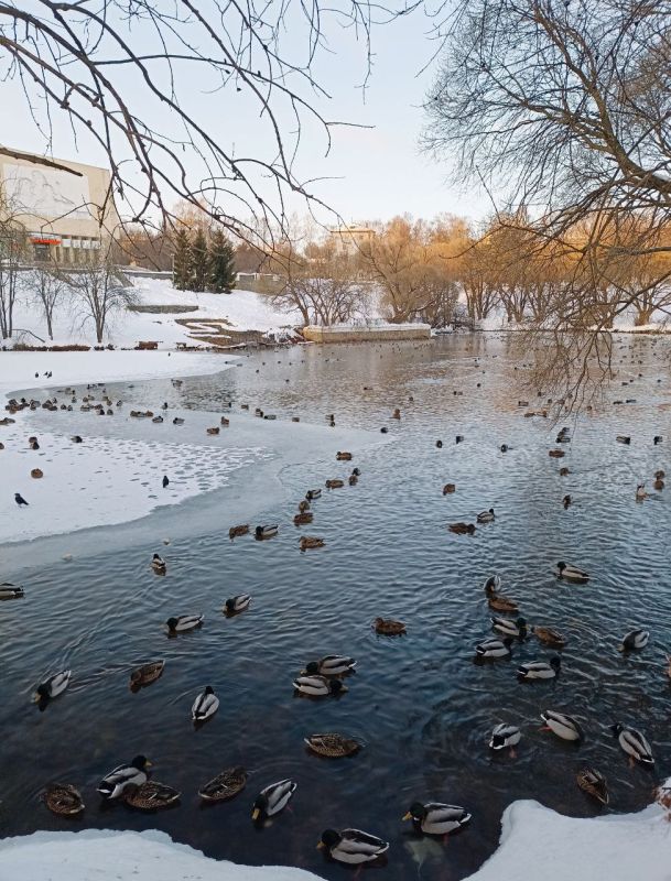 «Чуть-чуть подмести не выйдет»