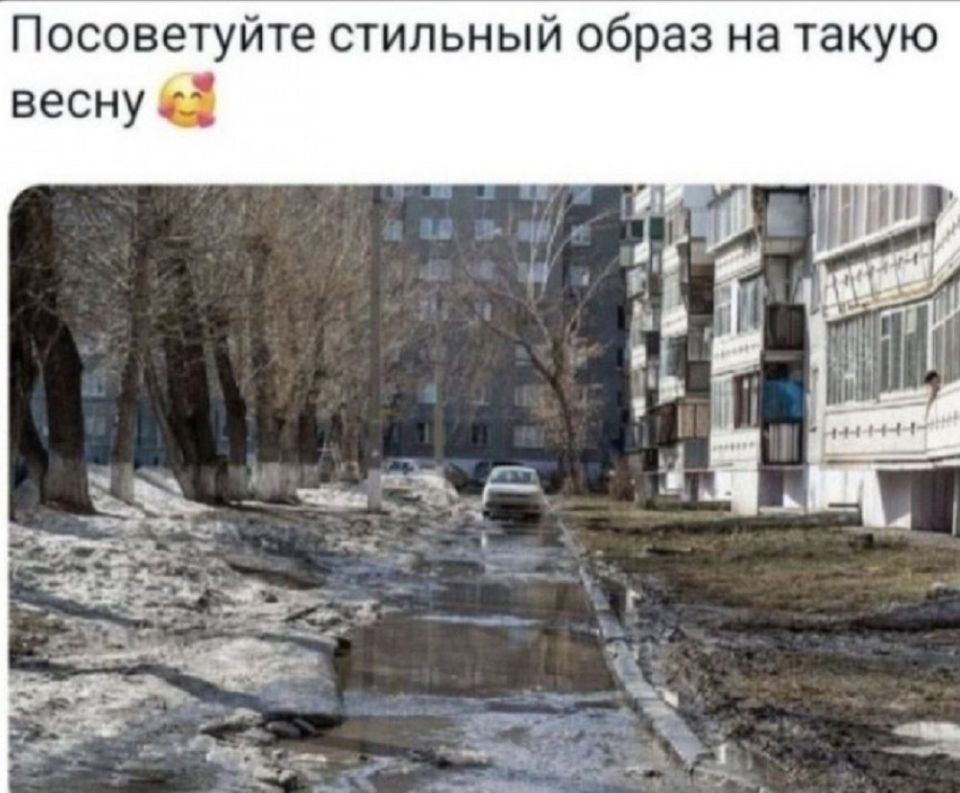 #шуткадня