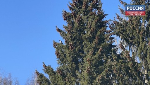 � �������, 19 �����, � ��������� ������� ������� ������������ ������ ��� ������������ �������, ����� � ����������, �������� � ������������ ������ �� ����������������� � ����������� ���������� �����