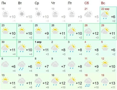 ����� ���� �� ����� ������