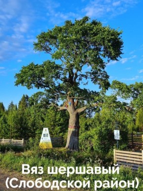 � ��������� ������� ������� ������������ �� ������ ����������� ������ ���� 2026