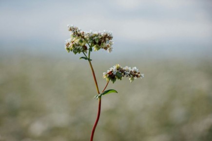 ������: ������� ���������� �������������