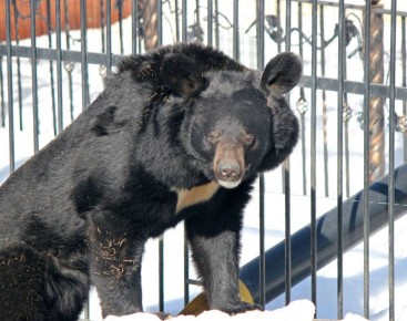 #��������������. � ������������� �������� �� ������ ������ ����� ����������� ������� �����