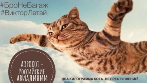 ������ ���� ��������: ��� ������������ ��������� �������������� ������-��������� � ������