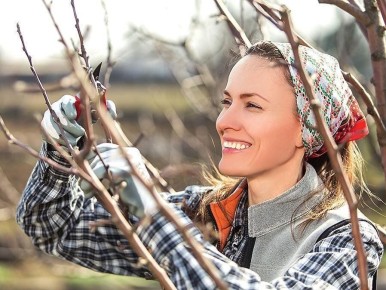 ������� ���� �� �����: ��� ������� �������� � ����������� ������������ �������� ��������