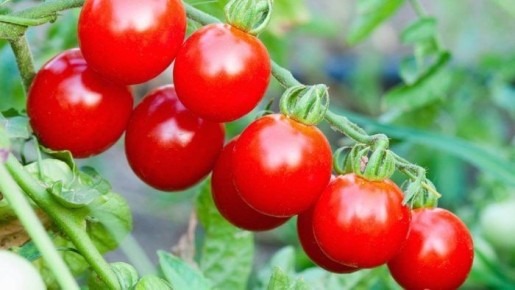 ����� ����� ������: ��������� ����-����� ��� ������� � ���������