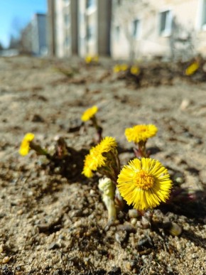 ���������� - �� ���� ����� ����� �������� �������