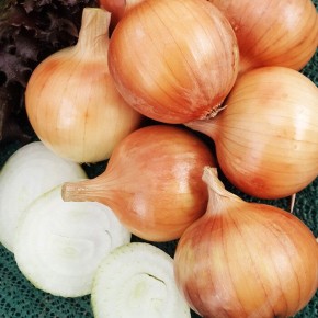 Как успешно посадить озимый лук осенью: советы по уходу и подготовке