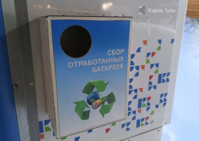 В Кирове объявились воры старых батареек