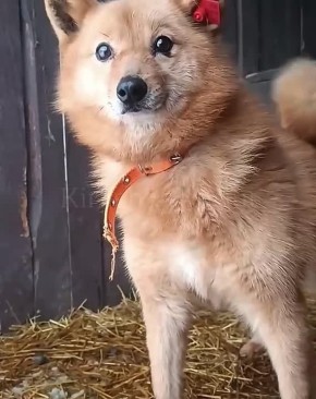 ��������� ����������: ��� �� ������ �������. ����� ���� ���� ������