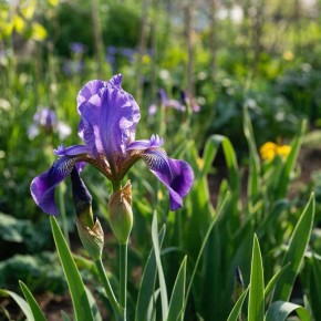 ����� ������������ �����: ������ ��� ��������� ��������