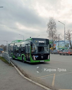 «До девяти и хватит». Перевозчики в Кирове не работают в вечернее время