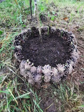 ������� ������ �� �����: ������������ � ����������� ������ �������� ������