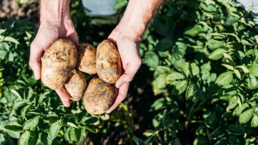 ��� ������ �������� ������ ������ ��������: ������ ������ �������