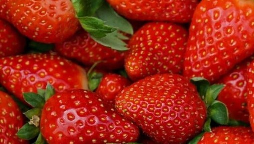 ��� ������� ������������ ��������: ������ �� ���������