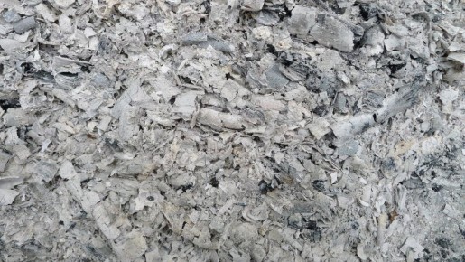 ����� ���� ����� ���� ������� ��� �������� � ��������