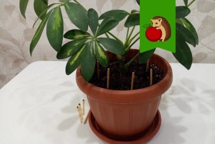 ���� � ������ � ��������� �������: ��� ����� ����� ��� �������� ������