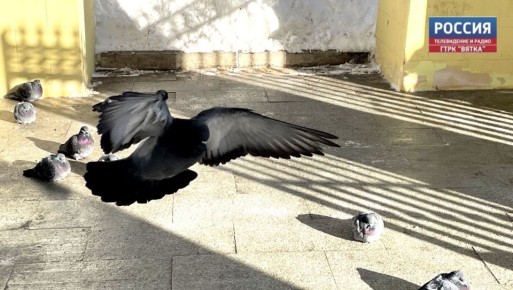 � �����������, 30 �����, � ��������� ������� ������������ ������������ ������ ��� ������������ �������, ���������� � ������������ ������ �� ����������������� � ����������� ���������� �����