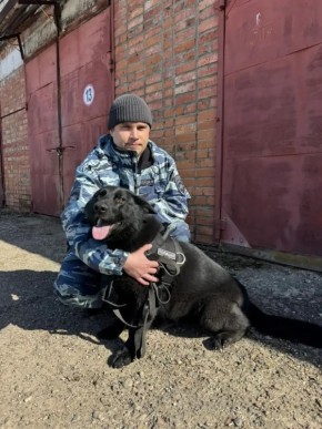 В Кировской области квартирная кража была раскрыта благодаря полицейскому кинологу