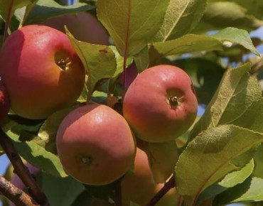 ������������� ����� ������ ��� ������ ����