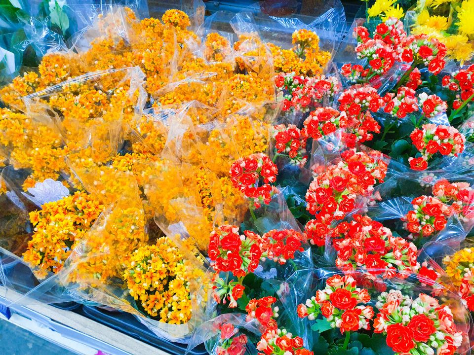 ���� ������� ��������� ��������, ������� �������� ������� � ���� ������