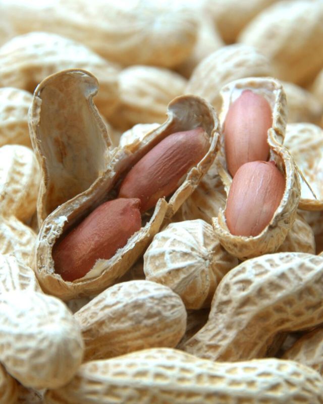 ������: ����� ������� ��� �������� ��� � �������������