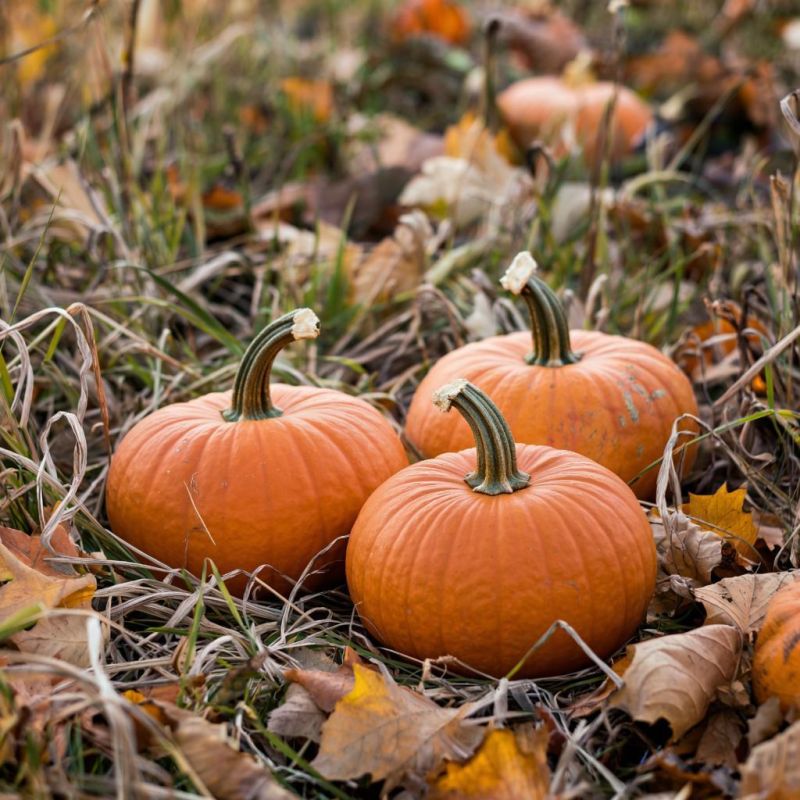 ����� ��� �����: ��������� ������ ��� ������� ���������