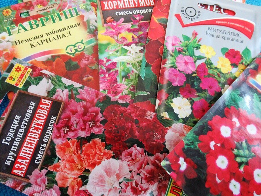 ������ ���������� ����� ��� ������� �� ������� � ������