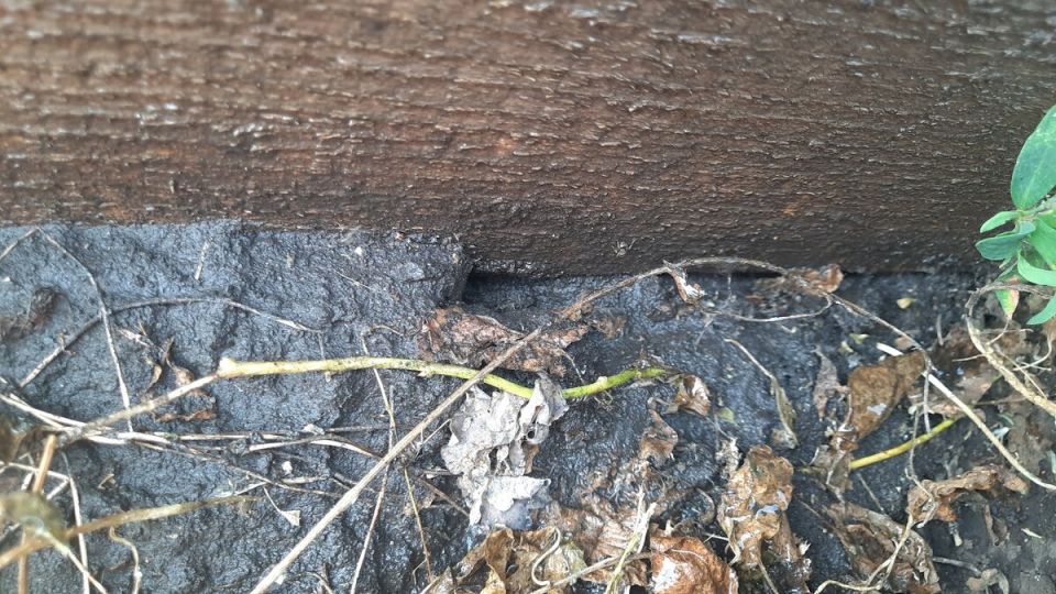 ��� ���� ������� ����� ������� ������� �� �������� �� ���� ����