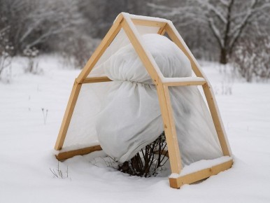 ��� ������������ ������� ������� �������� ������� ������� ������