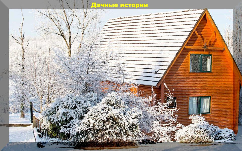 ����������� ������ � ���������: ��� ����� ����� ���������