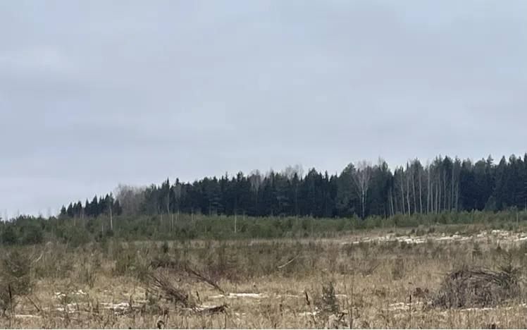 � ���������� ������ ������������ �������� � ��������� ��������������