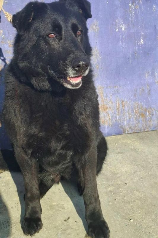 �������� �������, ����������� ������ ��� � �������, ���� ����� ���