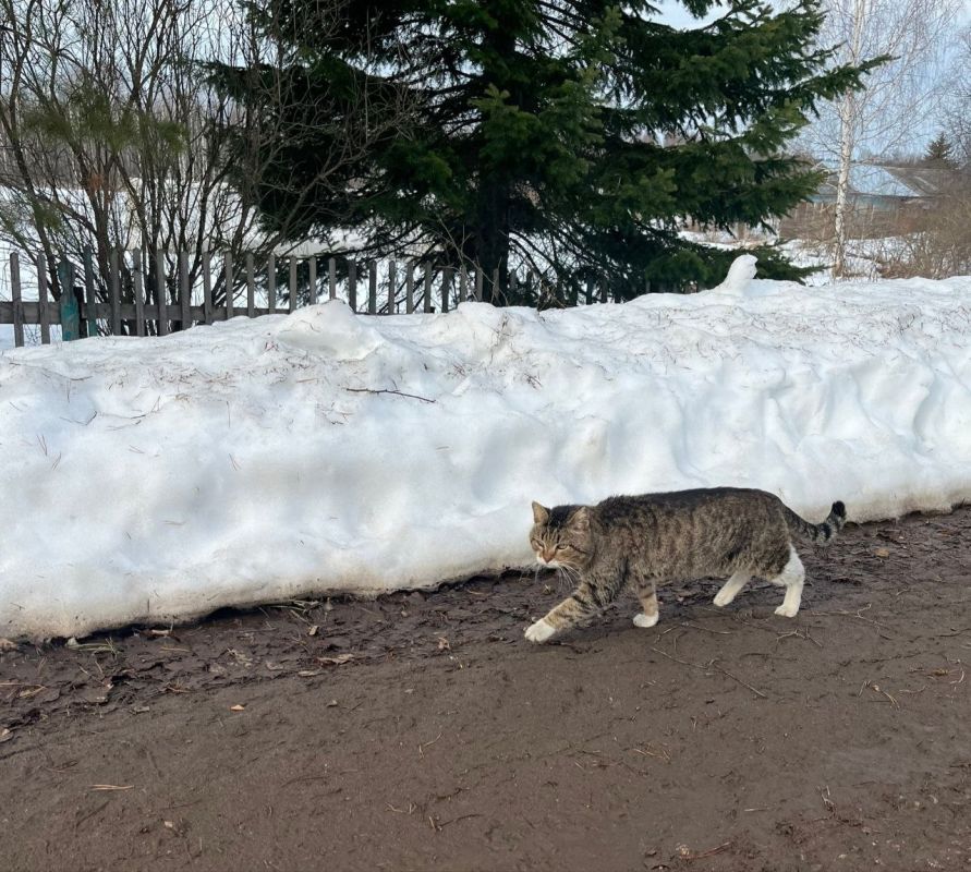 - ����� �� �����, ����� ����