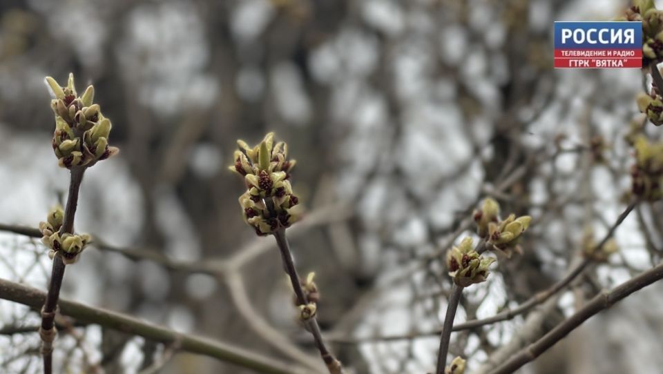 � �������, 4 ������, � ��������� ������� ������������ �������� ������: ���� � ������������, ���� �������� �����, �������� � ������������ ������ �� ����������������� � ����������� ���������� �����