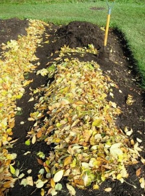 ����� ������ �����: ��� ����� �� ��� ��� ����������� ������ � �����