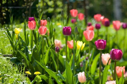 ������� ����� �� ����������: ��� ��������� ������� ����� �� ��������� ���