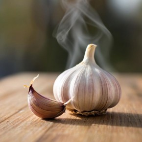 Как вырастить крупные головки озимого чеснока: пять эффективных схем подкормки