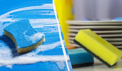 ����������� ������ ������� ����� ��� ������: �������� �� �� ��������� ������