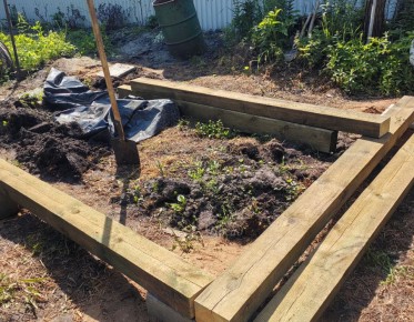 Ошибка при выборе места для теплицы: как не упустить солнечные часы