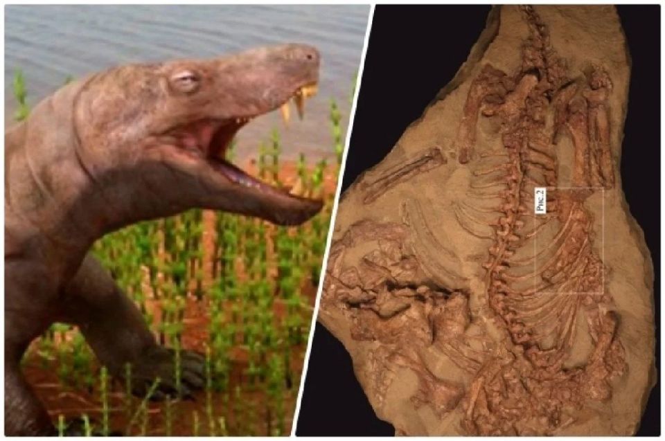 ��� ������� �������� � ��������� �������� ��� ����������� � ��� � ������� ��������