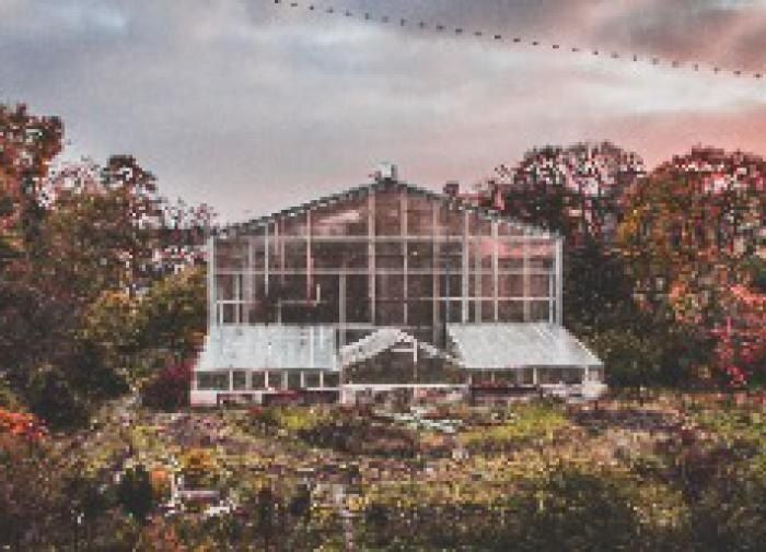 ����� � ��� ������������ ������� ������