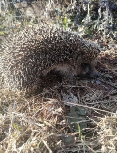 � ������� ����� ���������� �����